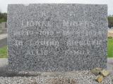 image of grave number 673647